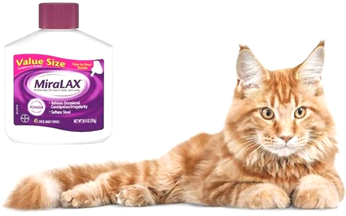 Are there any side effect for MiraLAX in a cat