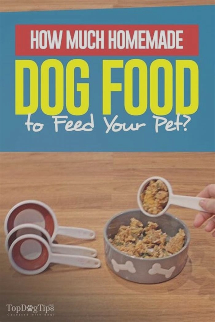 Can I feed my dog homemade dog food everyday?