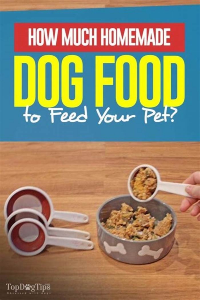 Can I feed my dog homemade food instead of dog food