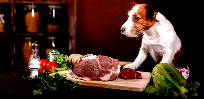 Can I feed my dog raw meat from the supermarket?