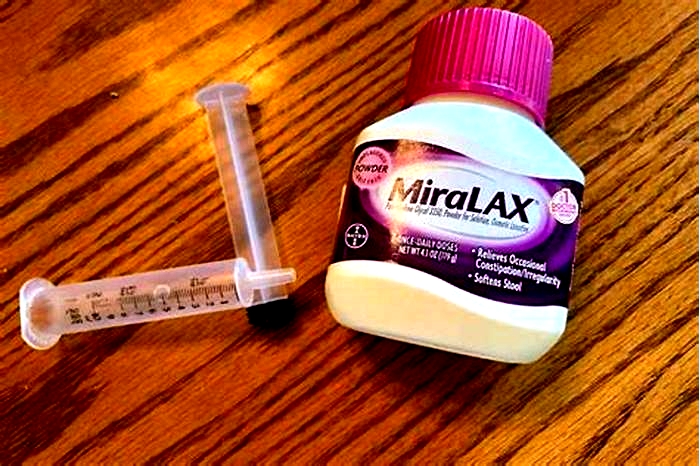 Can I give Miralax to my cat?