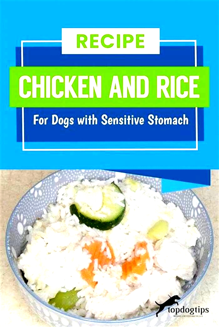 Can I mix chicken and rice with my dogs food?