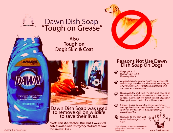 Can I use Dawn dish soap on my Shih Tzu?