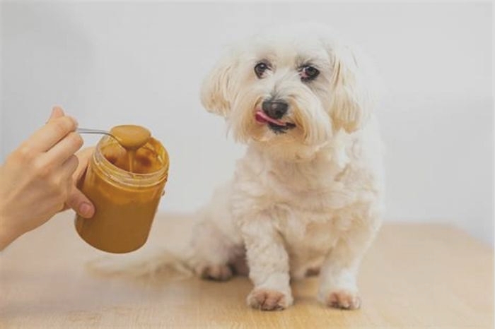 Can dogs eat peanut butter