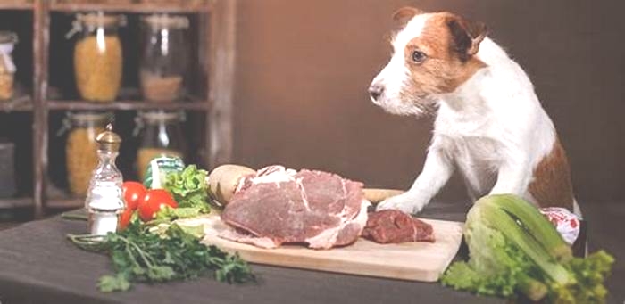 Can you feed a dog raw meat from a supermarket