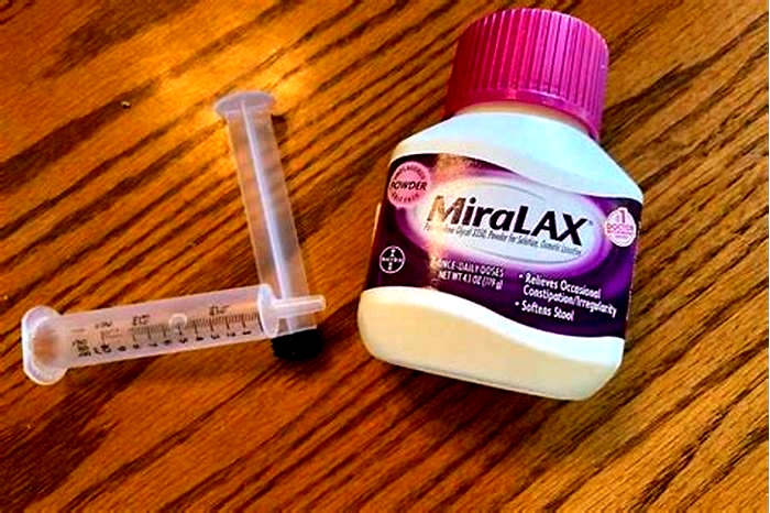 Can you give Miralax to a cat?