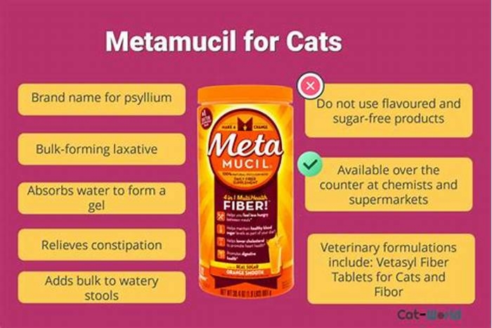 Can you sprinkle Metamucil on cat food?