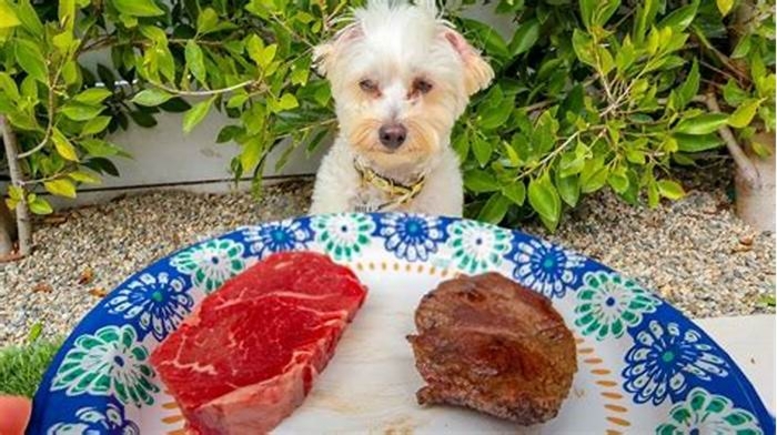 Do dogs prefer cooked or raw meat?