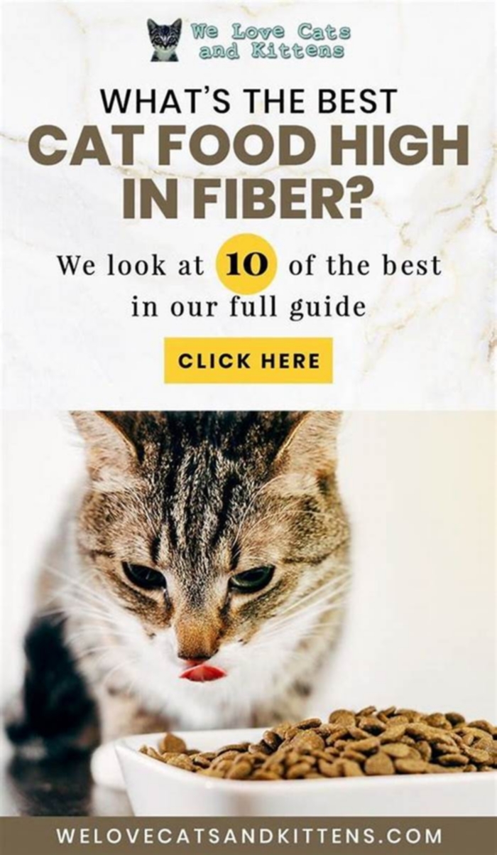 Do indoor cats need more fiber