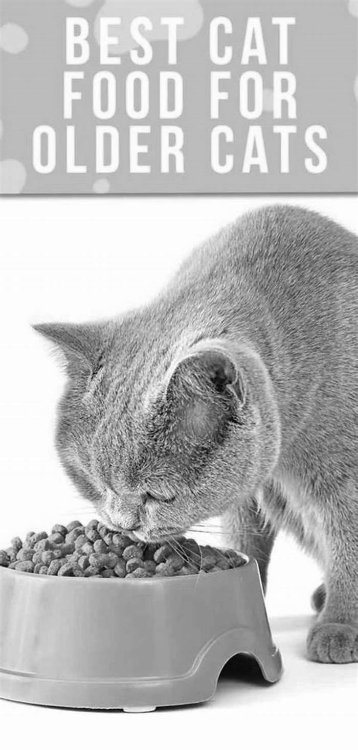 Do senior cats need more fiber?