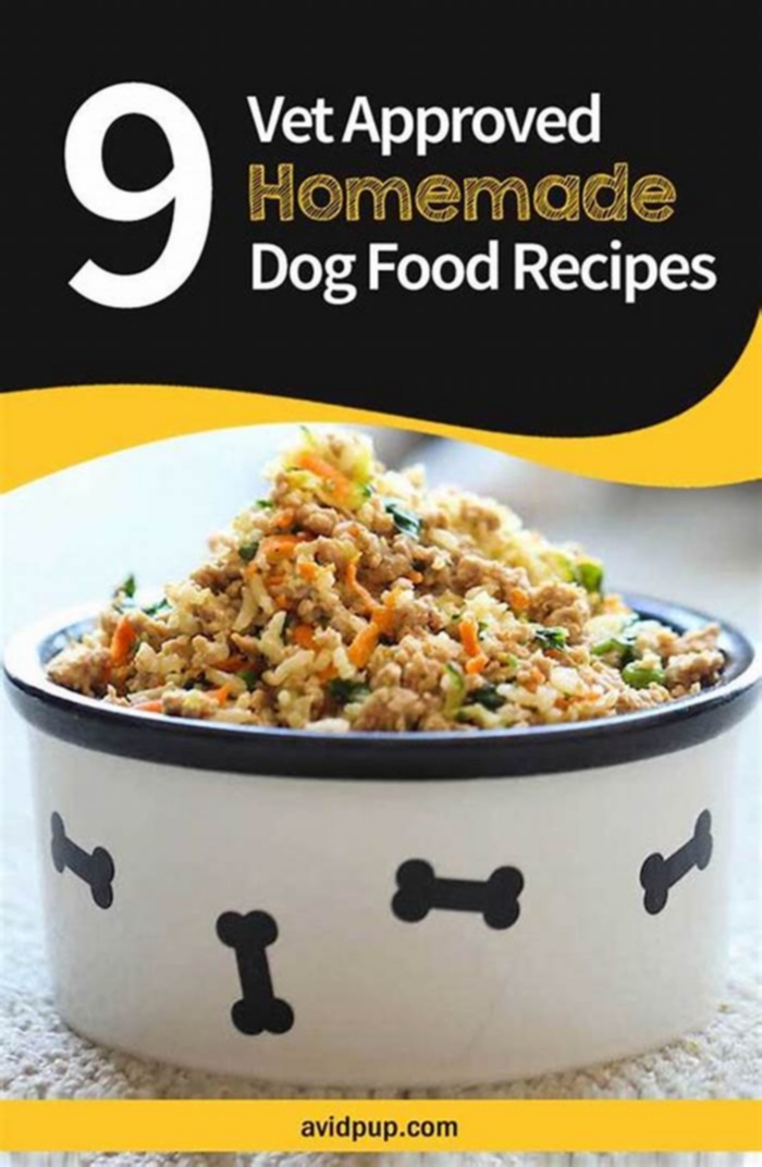 Do vets recommend homemade dog food?