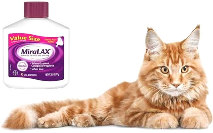 Does MiraLAX work for impacted stool in cats