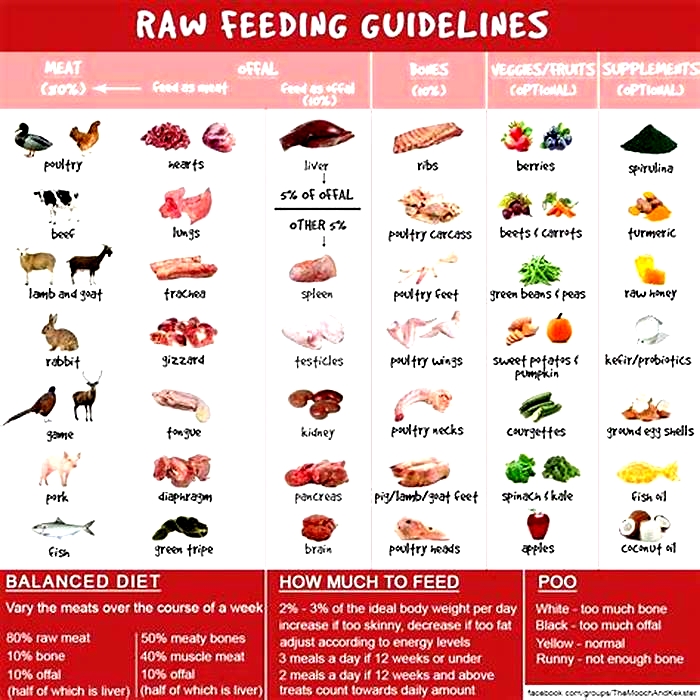 Does raw food make dogs gain weight