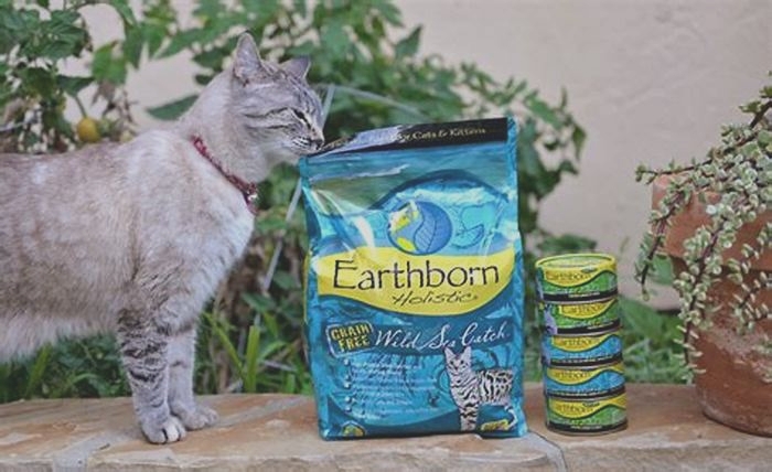 Does wet or dry cat food have more fiber?