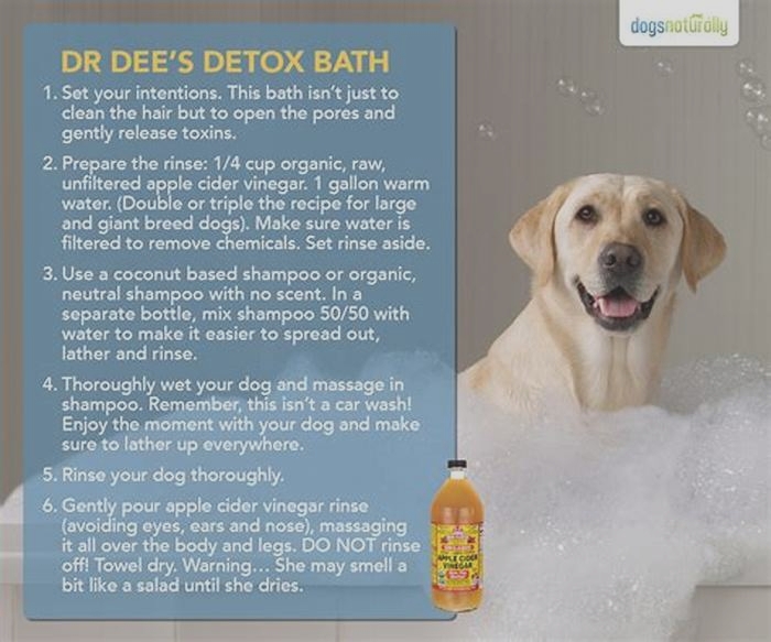 How can I naturally detox my dog?