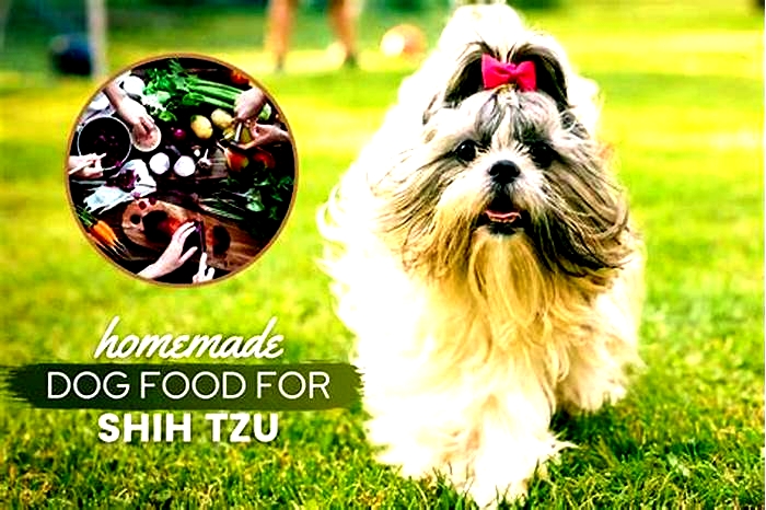 How do you make homemade dog food for Shih Tzu