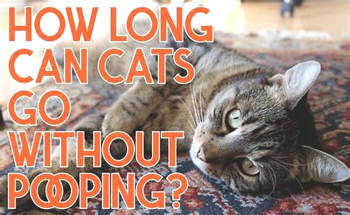 How many days can a cat go without pooping?