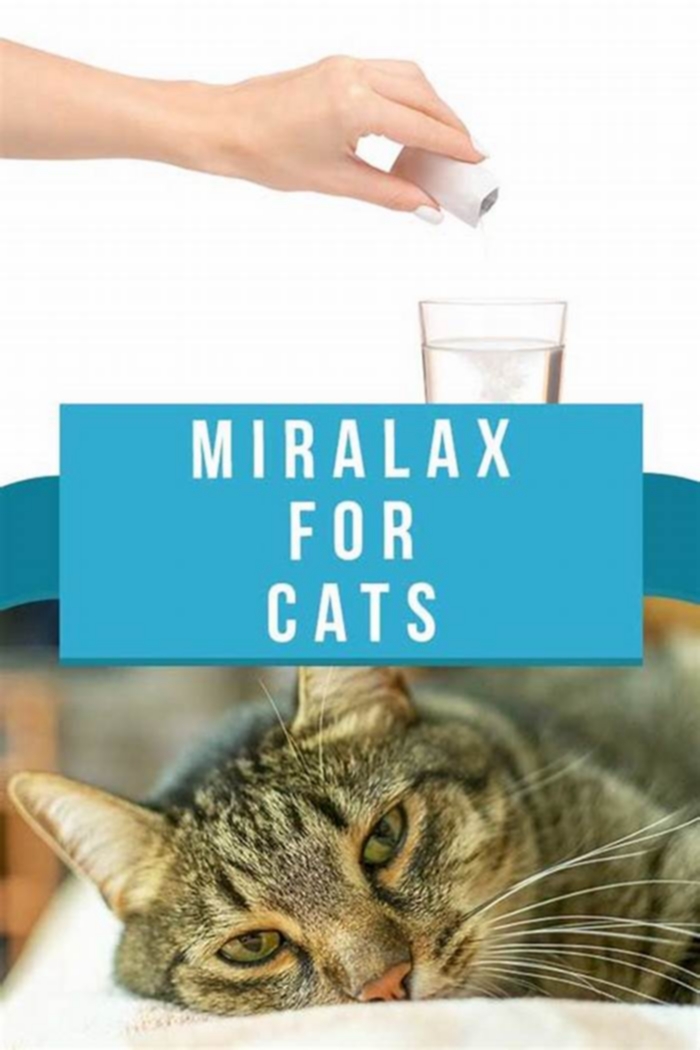 How much MiraLAX can I put in my cat s food