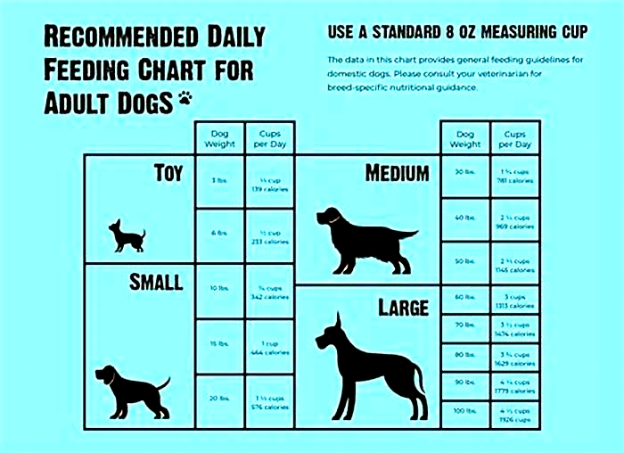 How much food is too little in dog