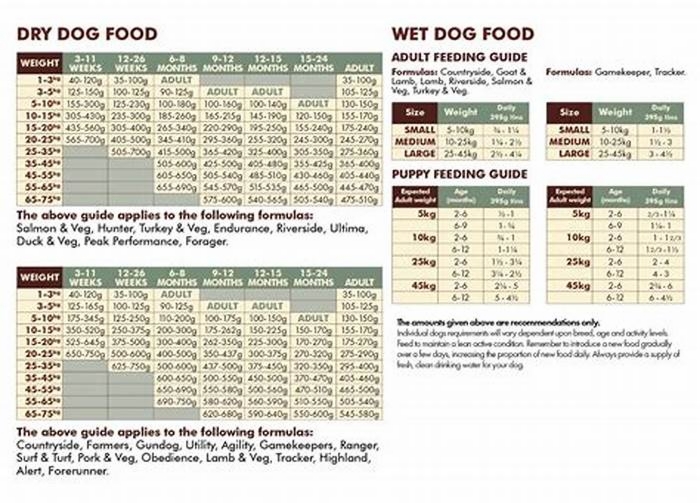 How much should a wolf dog eat in a day?