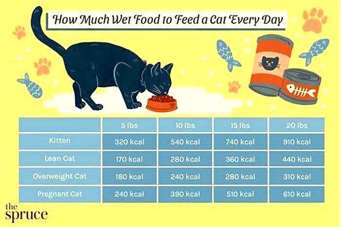 How often should a cat give wet food