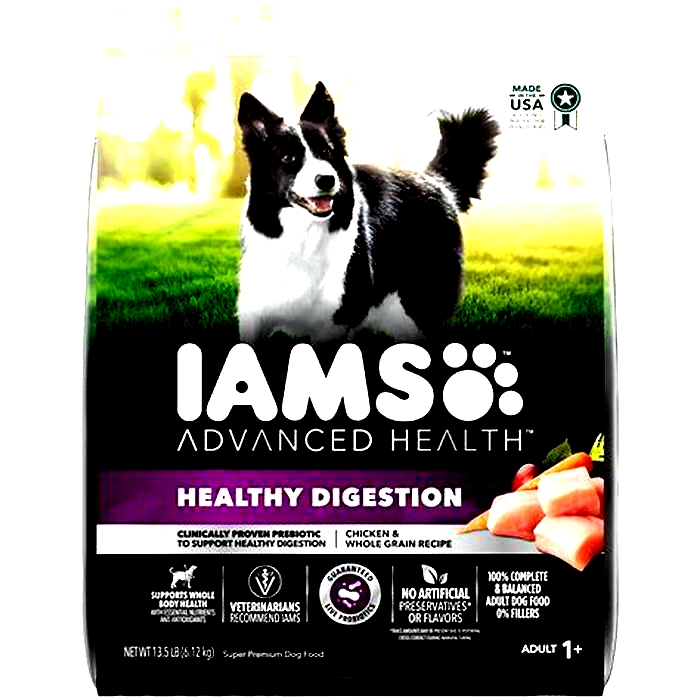 Is IAMS a good dog food?