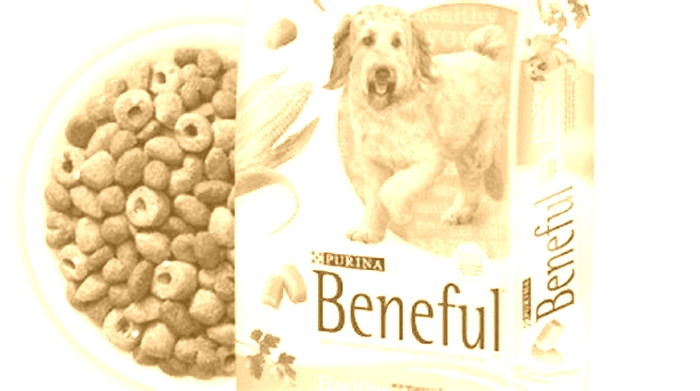 Is Purina killing dogs in 2024?