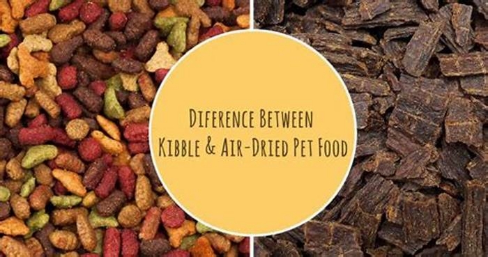 Is air dried dog food better than kibble