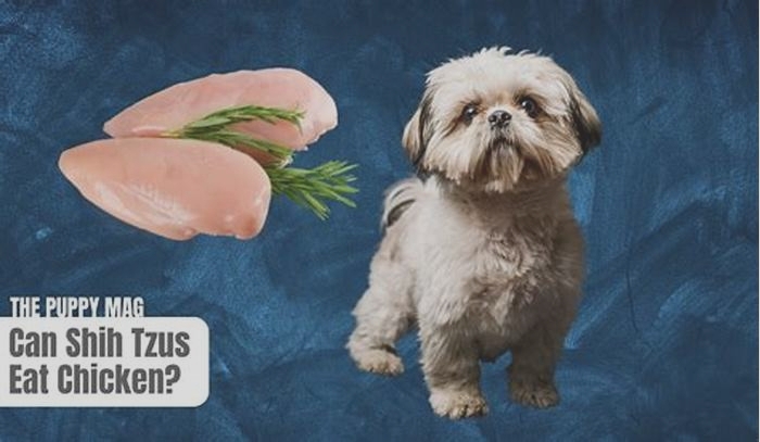 Is chicken bad for Shih Tzu