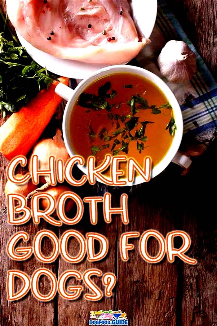 Is chicken broth good for dogs with kidney disease?