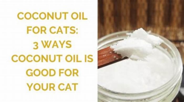 Is coconut oil a natural laxative for cats