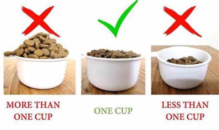 Is half a cup of dog food enough?