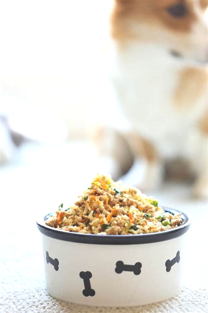 Is homemade dog food better for dogs than store bought?