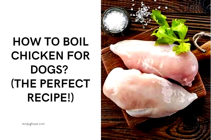 Is it better to boil or bake chicken for dogs