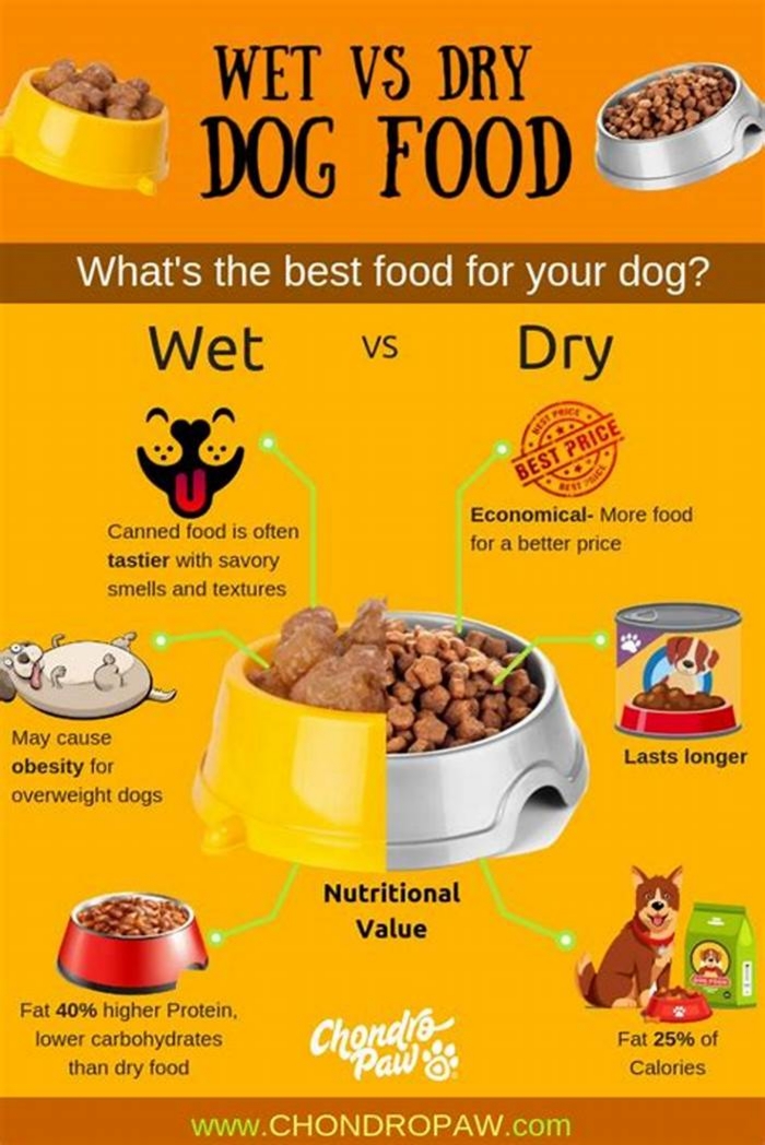 Is it better to feed your dog wet or dry food?