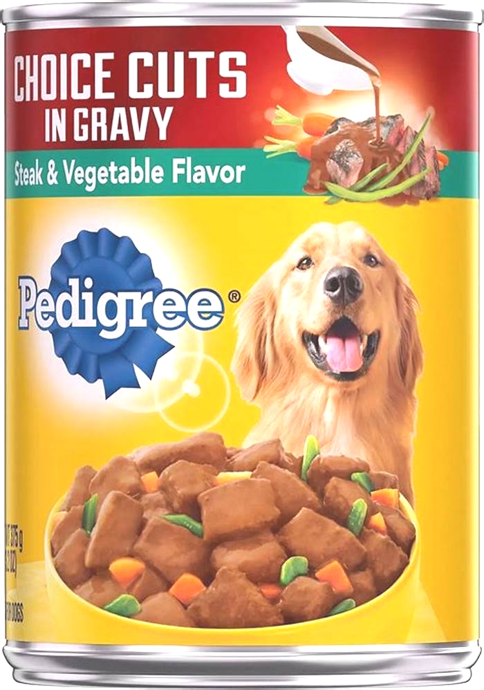 Is pedigree dry dog food bad?