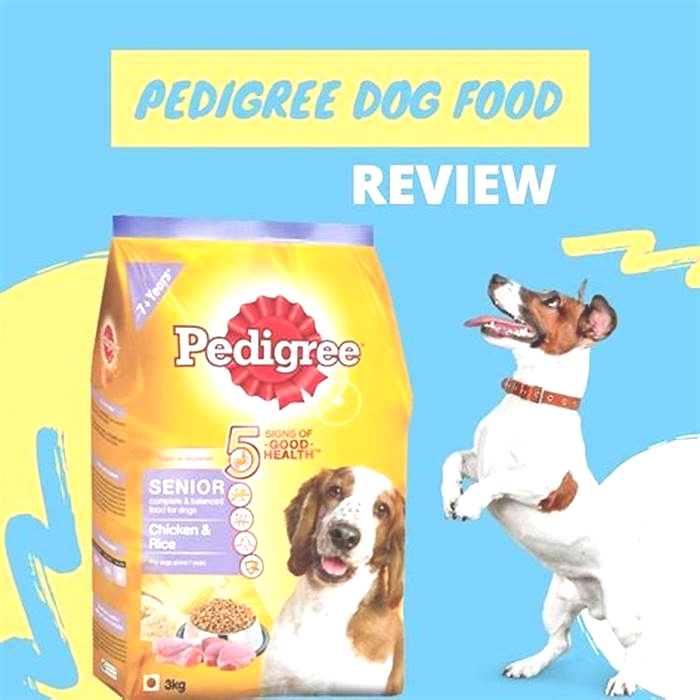 Is pedigree still bad for dogs?