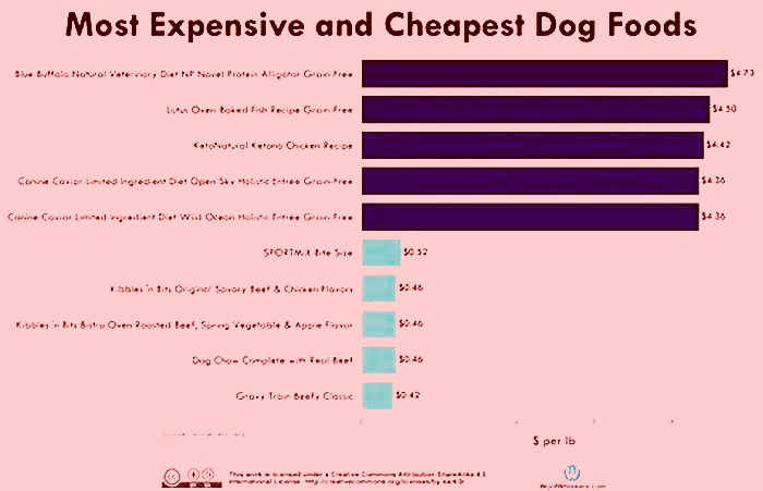 Is there a difference between expensive dog food and cheap dog food