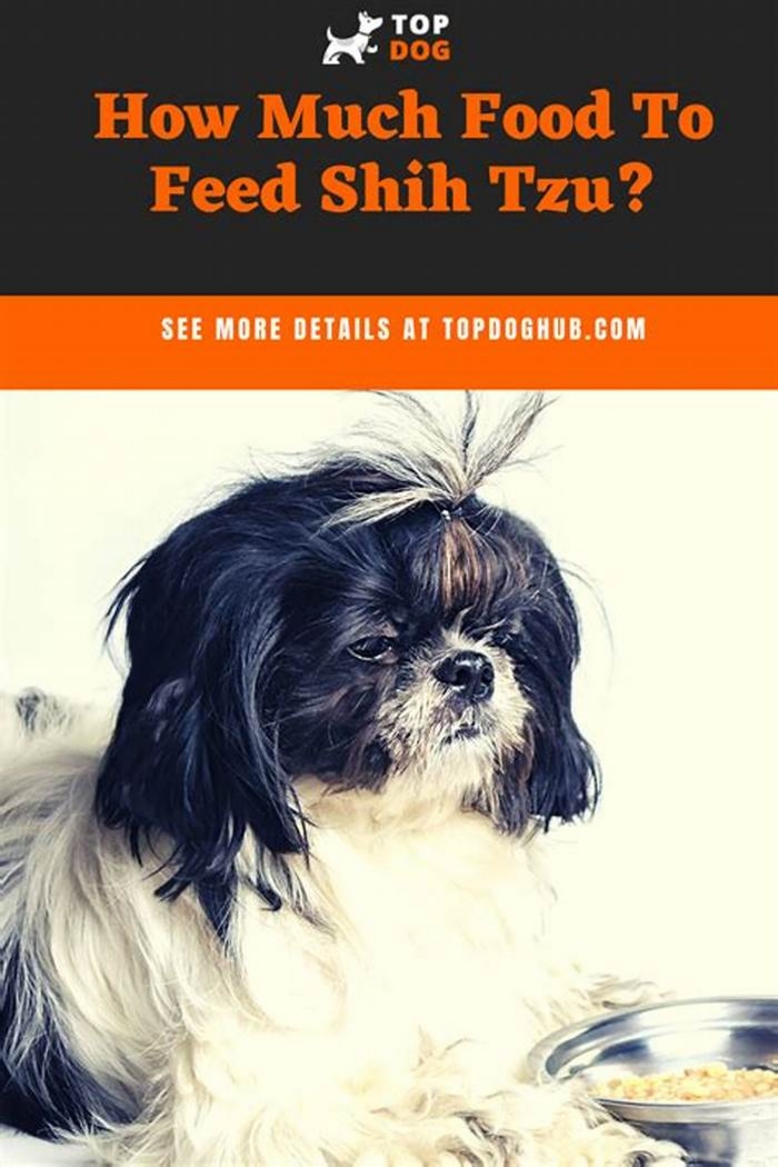 Should Shih Tzus eat grain free?