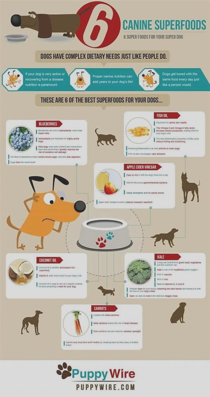 What are the 3 super foods for dogs