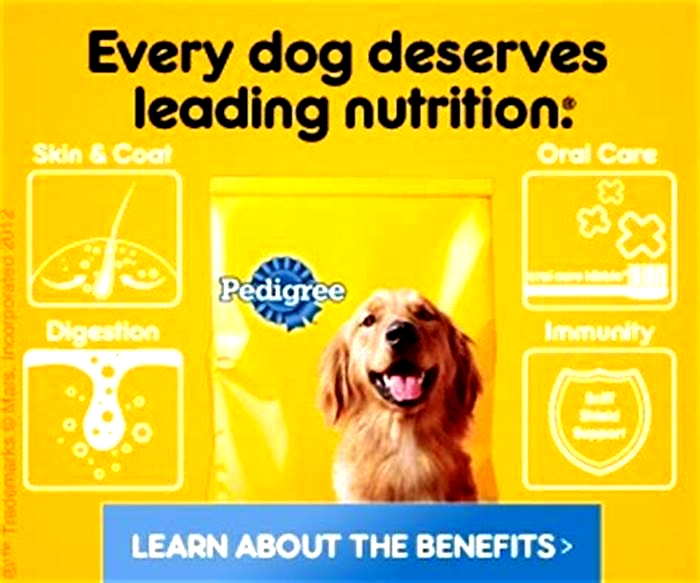 What are the benefits of Pedigree dry dog food