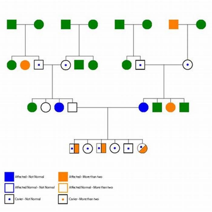 What are the cons of Pedigree?