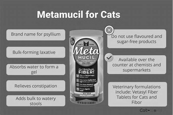 What are the side effects of Metamucil in cats?