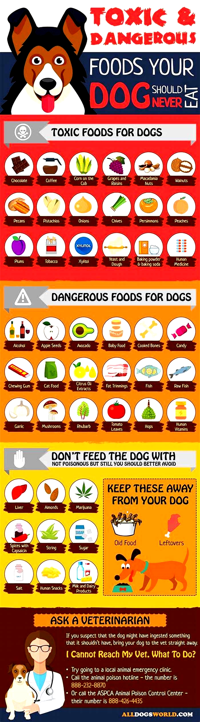 What are the three toxic meats for dogs