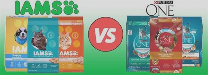 What brand is better IAMS or Purina