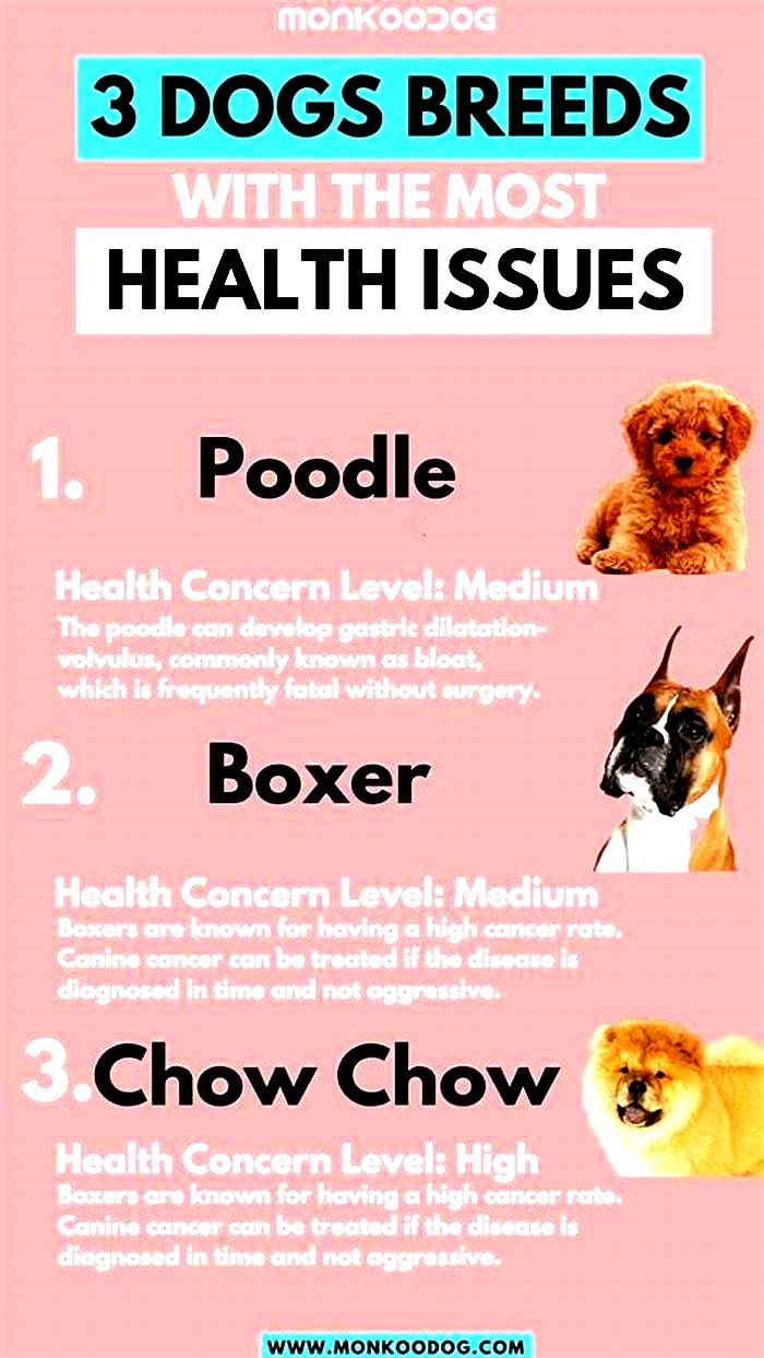 What breed of dog has the most health issues