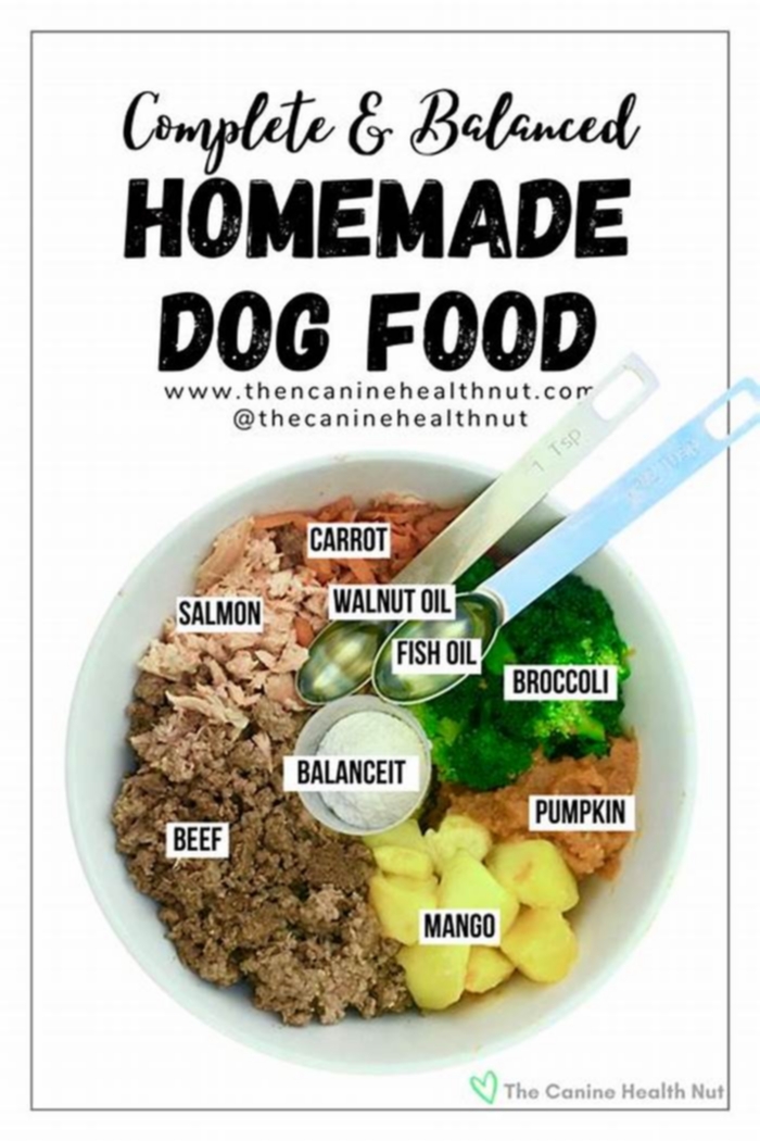 What can I add to my dog's food to make him eat?