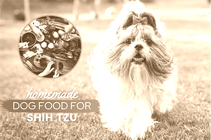 What can I cook for my Shih Tzu