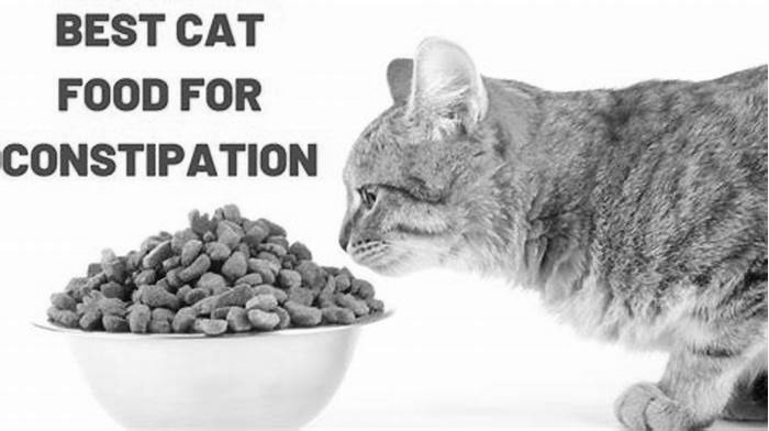 What can I feed my cat to prevent constipation