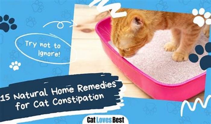 What can I give my cat for constipation over the counter?